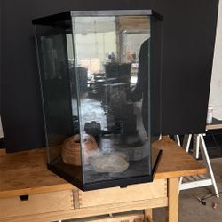 Hexagon Reptile Terrarium 