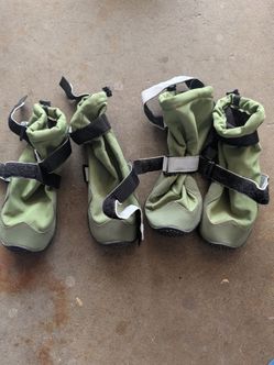 Dog boots