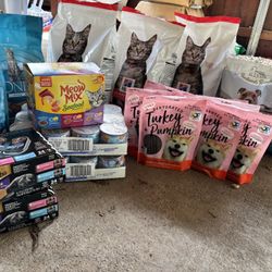 Cat And Dog Food Message Me For Prices Or Shoot Me An Offer