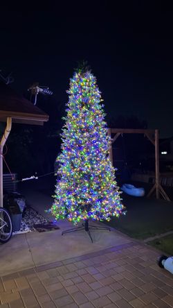 Christmas tree 12 ft
