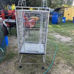 Bird Cage  $125