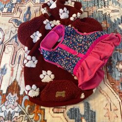 Dog Clothes