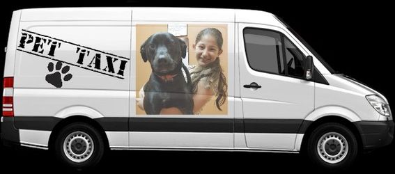 Pet transportation.. vet groomer birthday parties