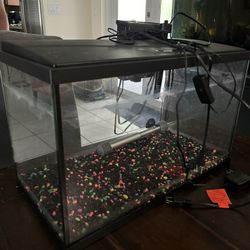 20 Gallon Tank Brand New