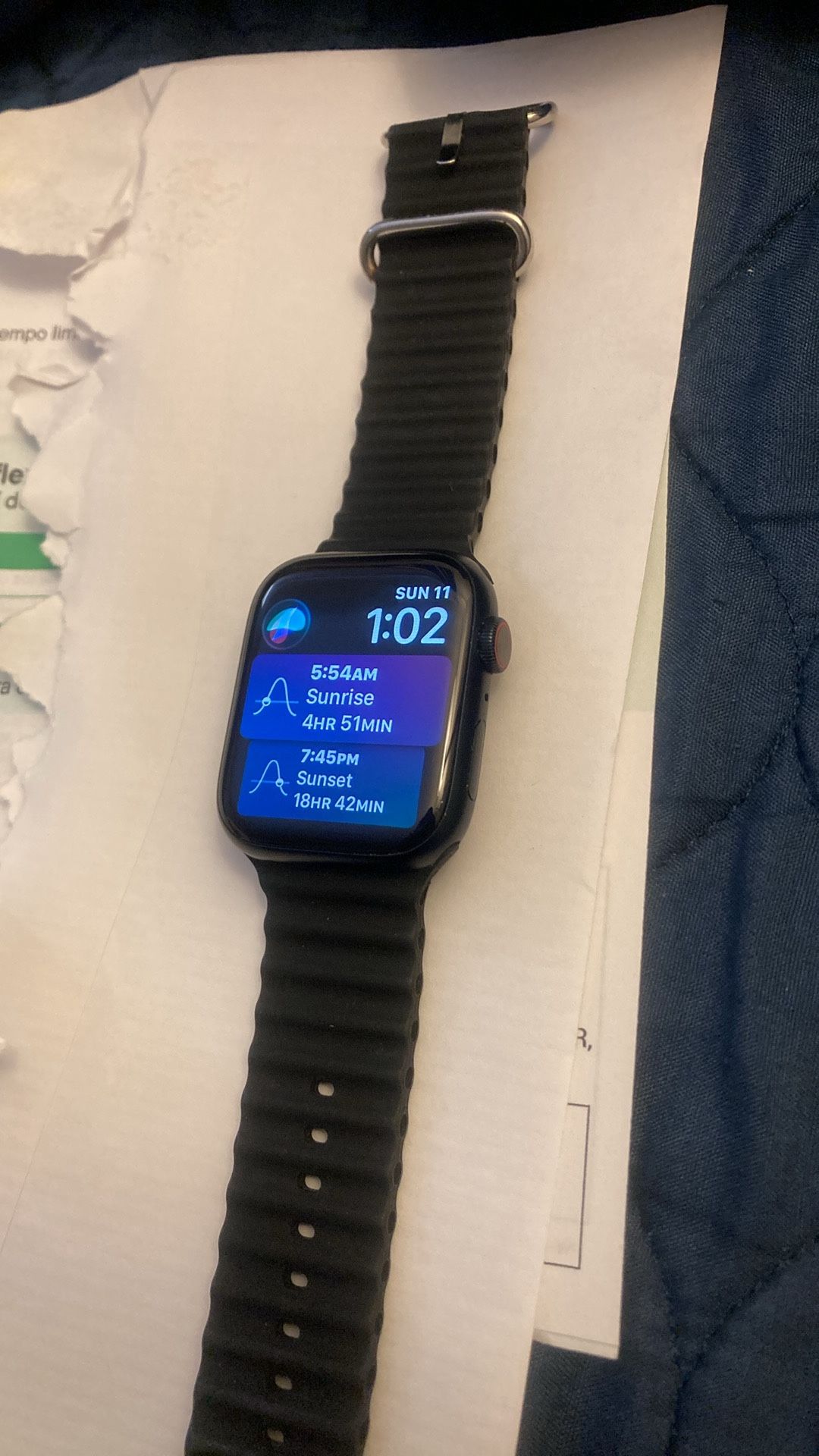 Apple Whatch Serie 9 44mm Platinum