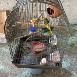 Cage For Birds 