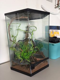 Reptile Enclosure/ Terrarium
