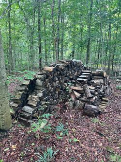 Free firewood