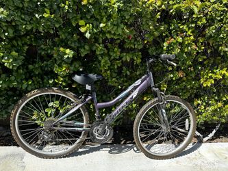 purple bike