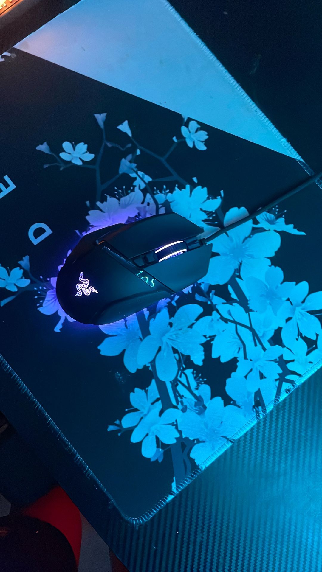 Mouse