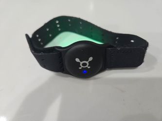 Heart Rate Monitor