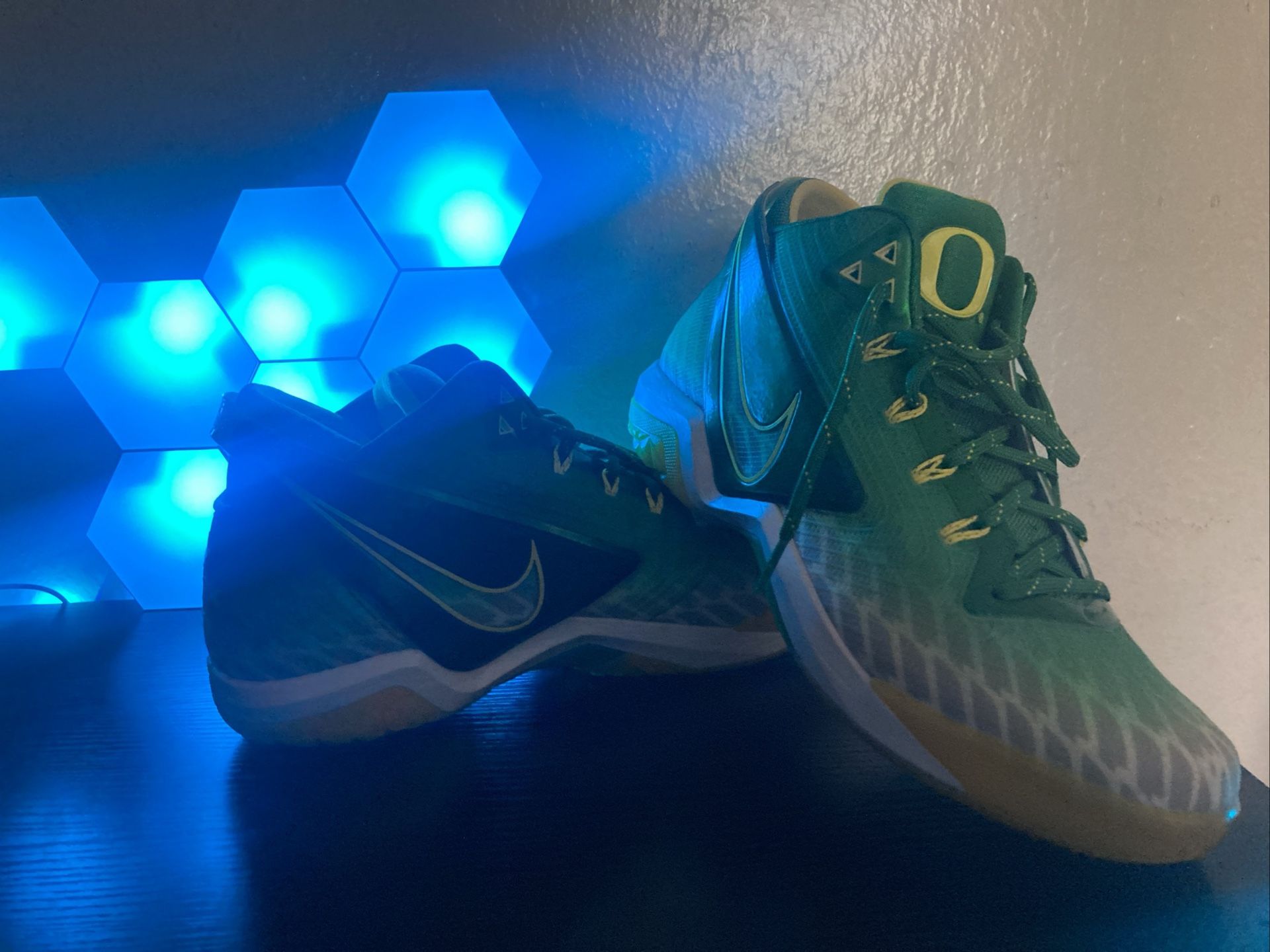Nike Zoom Field General Oregon Ducks Hi Top Sneakers