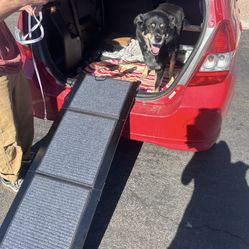 Dog Ramp