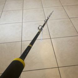 Custom Fishing Rod 