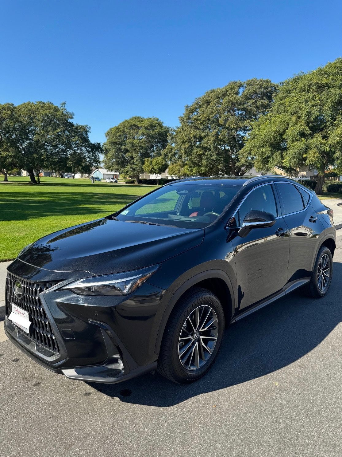 2025 Lexus NX