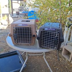 Dog Or Cat Or Animal Carrier Large 30.00 Small 15.00 Firm