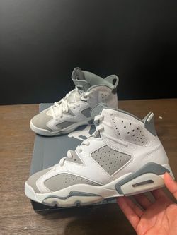 Air Jordan Cool Grey 6s