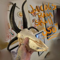 Oddities For The Holidays 