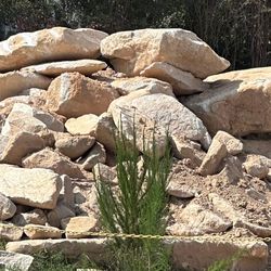Blonde Ale Boulders/ landscape Rocks