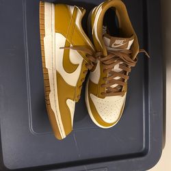 Nike Dunk low