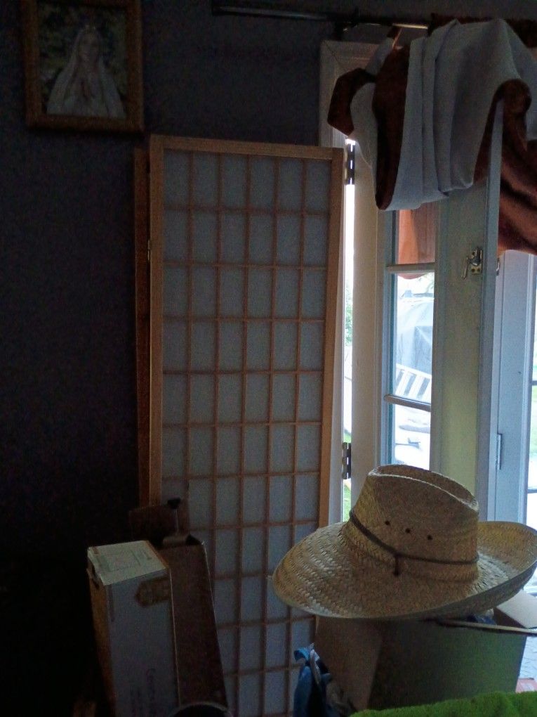 Room Dividers $35 Or Best Offer
