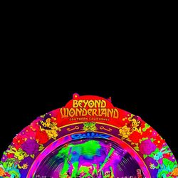 (1)Beyond Wonderland 2026 VIP
