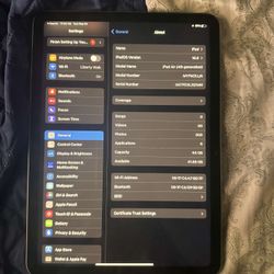 iPad Air 4th Gen 64 Gb 