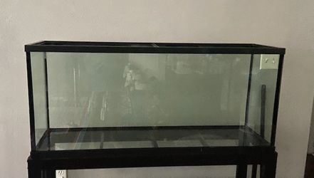 55 Gallon Tank