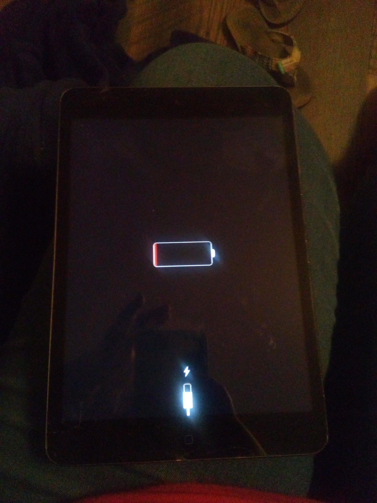 iPad Mini(Black)