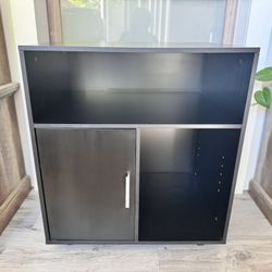 Black Storage Cabinet / Bookshelf