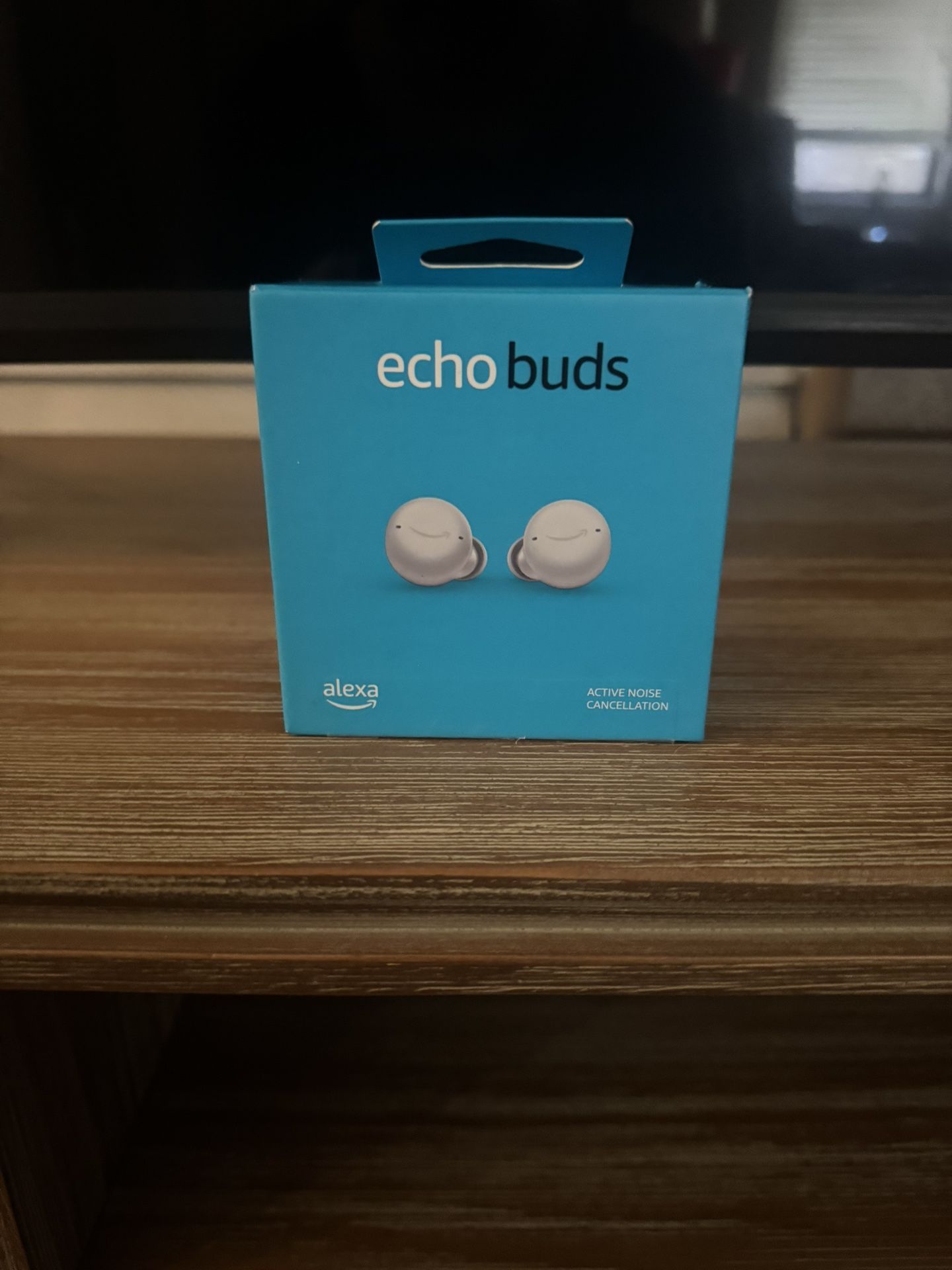 Echo Buds