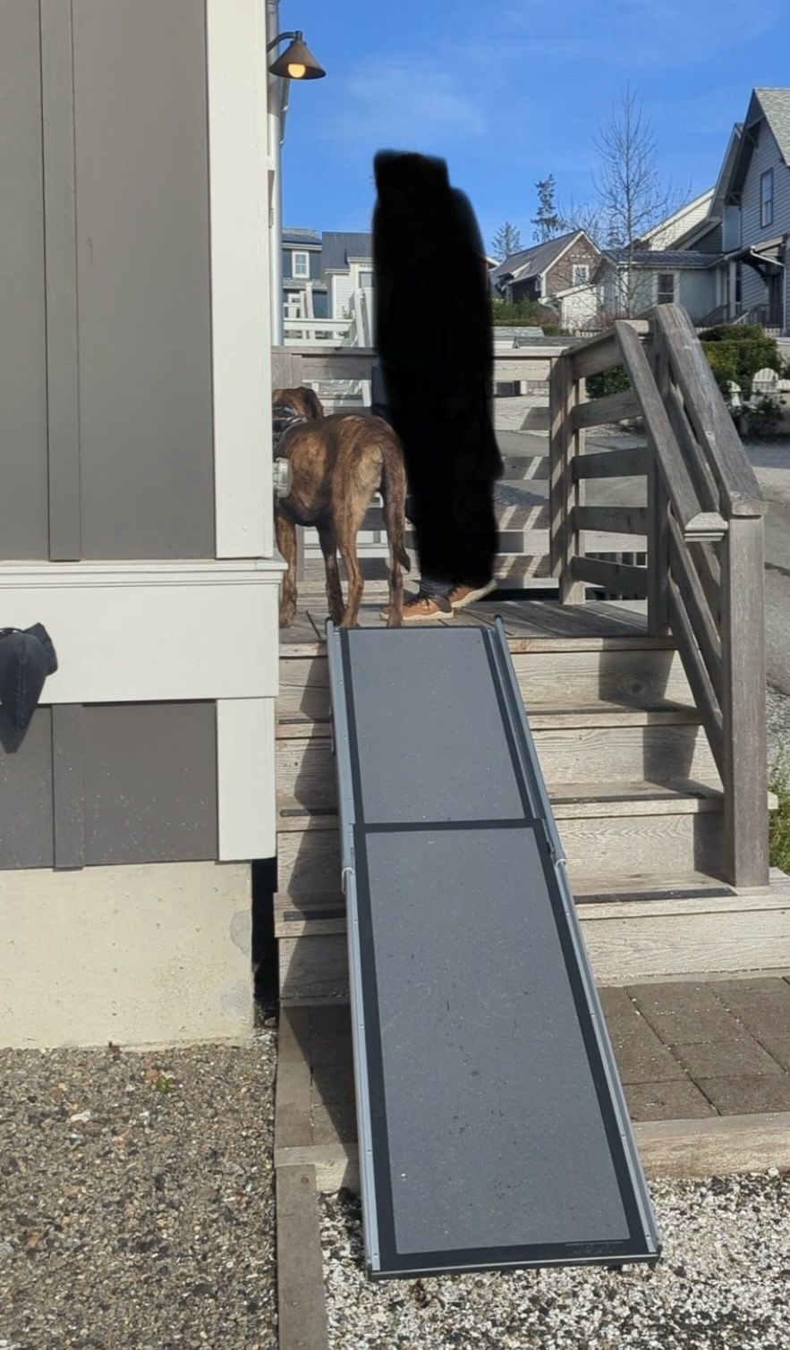 Dog Ramp - XL PetSafe Happy Ride Telescoping Dog Ramp