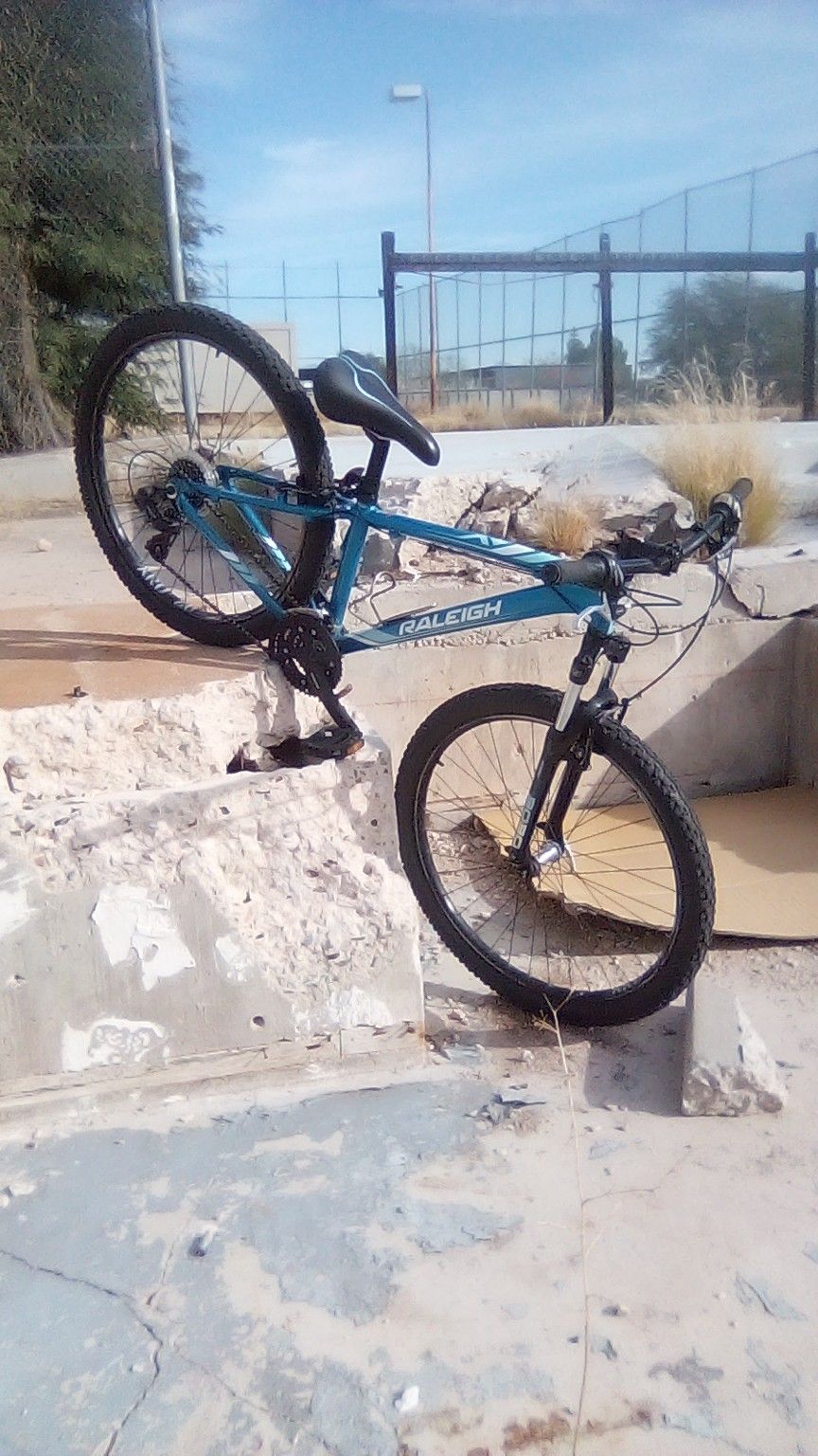 28" 2023 Raleigh Eva 2
