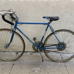 Schwinn Varsity Bikes