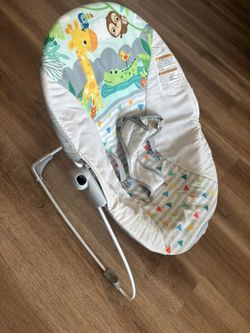 Baby Bouncer