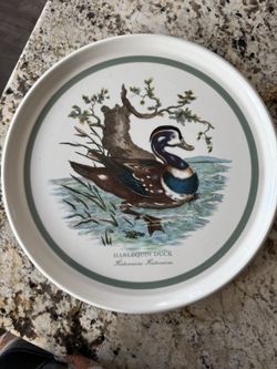 Harlequin Duck Plate