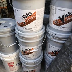 Exterior flat paint