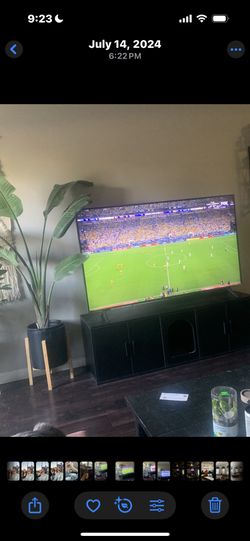 Double Litter Box Enclosure