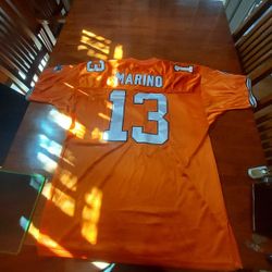 Miami Dolphins Dan Marino #13 NFL football jersey. 
