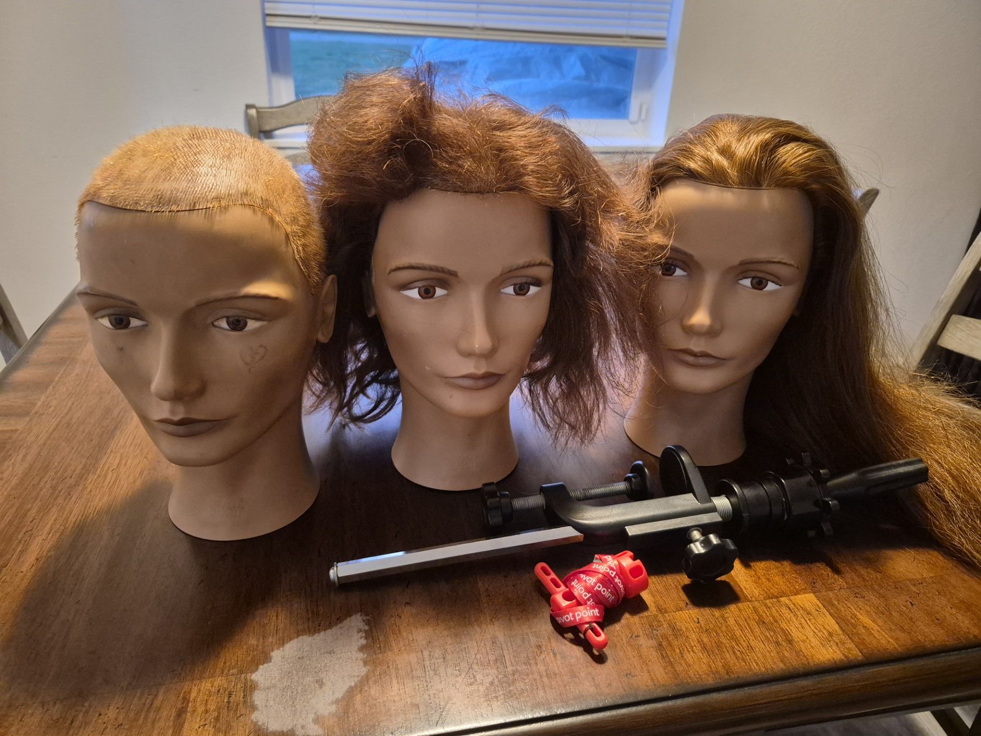 Cosmetology mannequin heads and stand