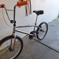 Mongoose