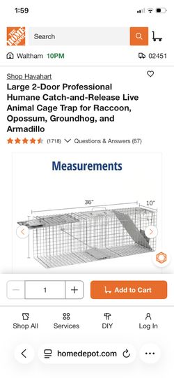 2 Lot - Large 2-Door Professional Humane Catch-and-Release Live Animal Cage Trap for Raccoon, Opossum, Groundhog, and Armadillo