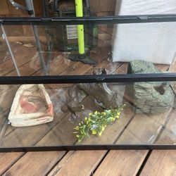 40 Gallon Long Terrarium + Accessories