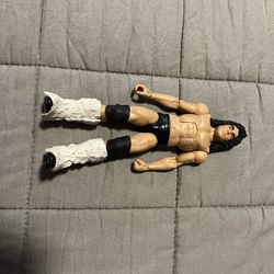 Wwe Custom Perro Aguyo Elite 