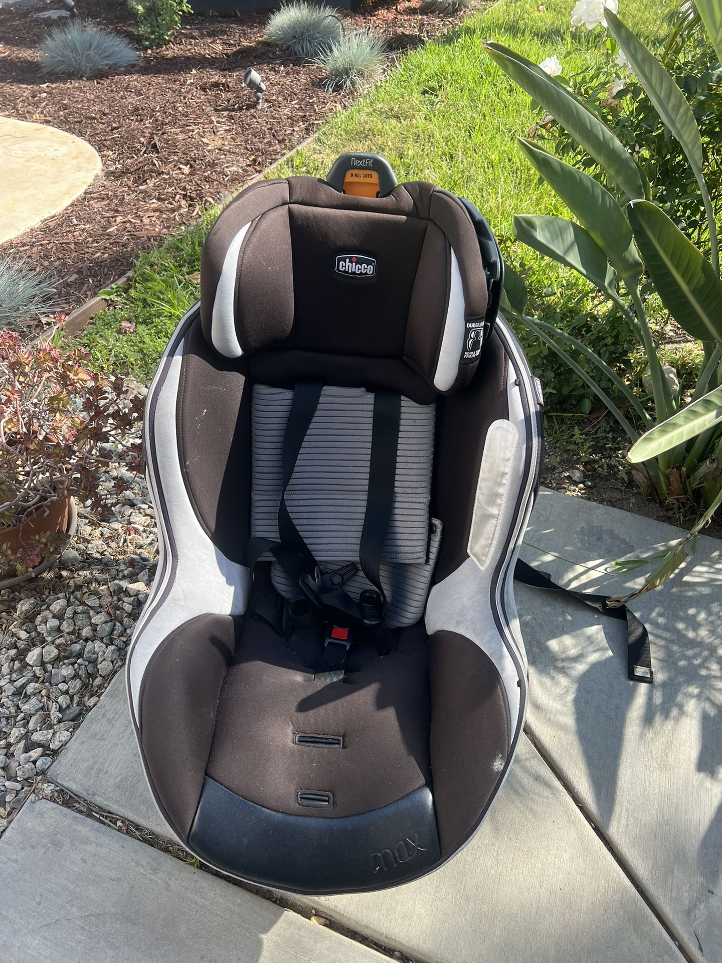 Car Seat $40