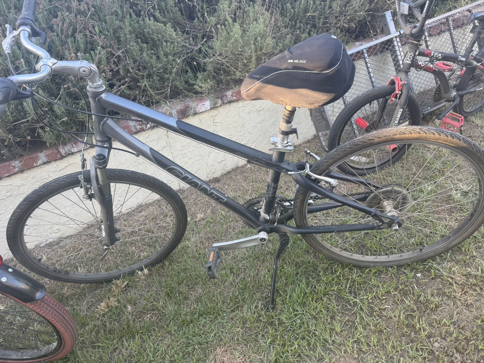 Men’s Bike: Giant