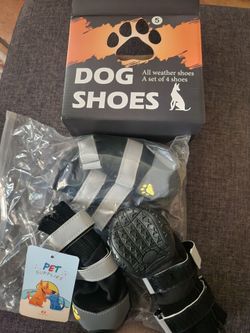 New puppy shoes