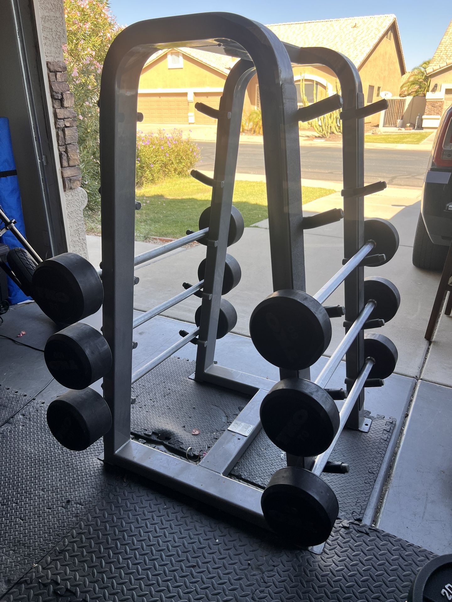 Precor Icarian Barbell Rack + 6 TKO Fixed Barbells (60–110 lb)