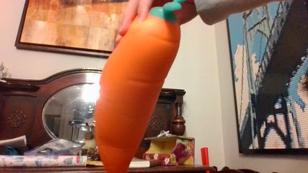 carrot squishy