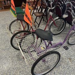 Adult Tricycles